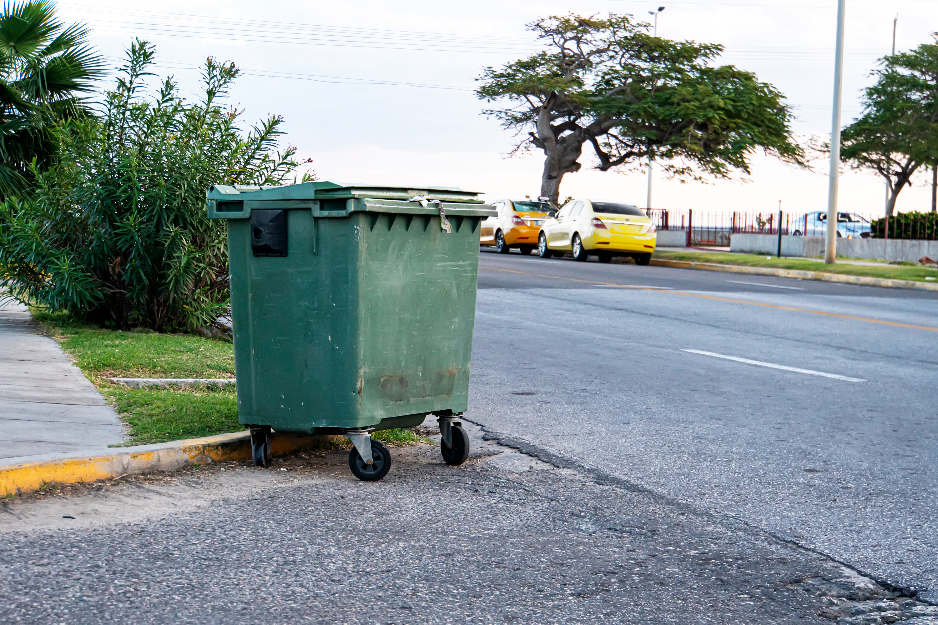 RUBBISH REMOVAL & COLLECTION Croydon
